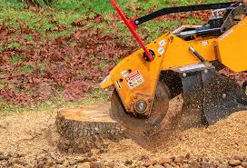 Lawn Maintenance Plans in Turlock, CA